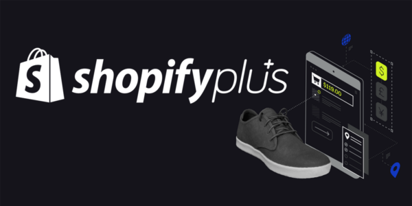 Shopify Checkout anpassen mit Shopify Plus